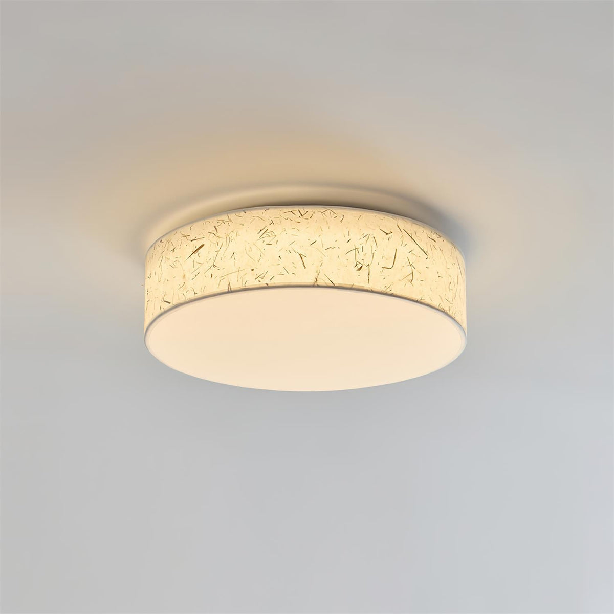 Hayden Metal Ceiling Lamp — product view 16