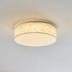 Hayden Metal Ceiling Lamp — product view 17
