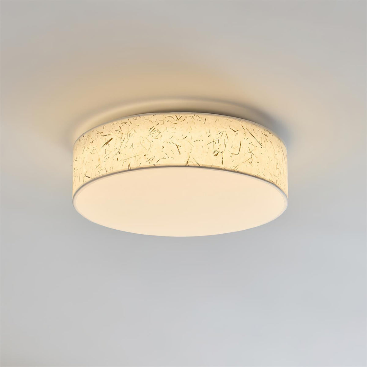 Hayden Metal Ceiling Lamp — product view 17