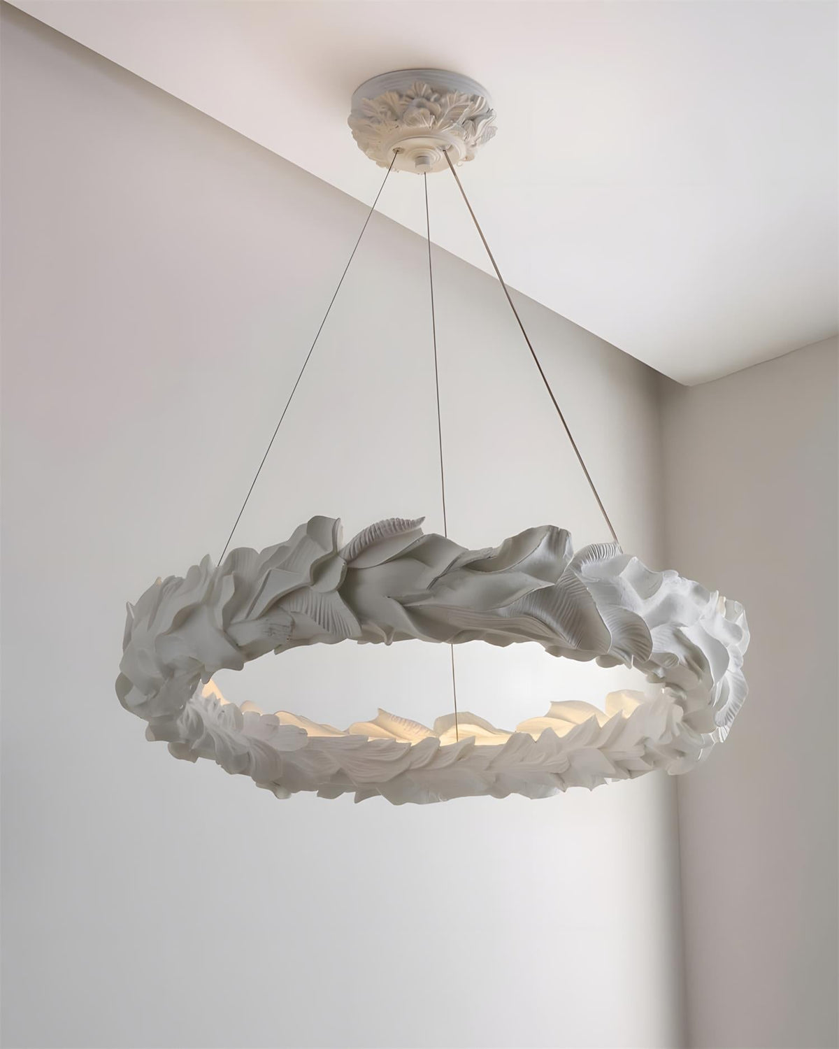 Vellora Ring Metal Chandelier — product view 18
