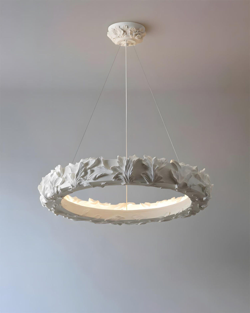 Vellora Ring Metal Chandelier — product view 20