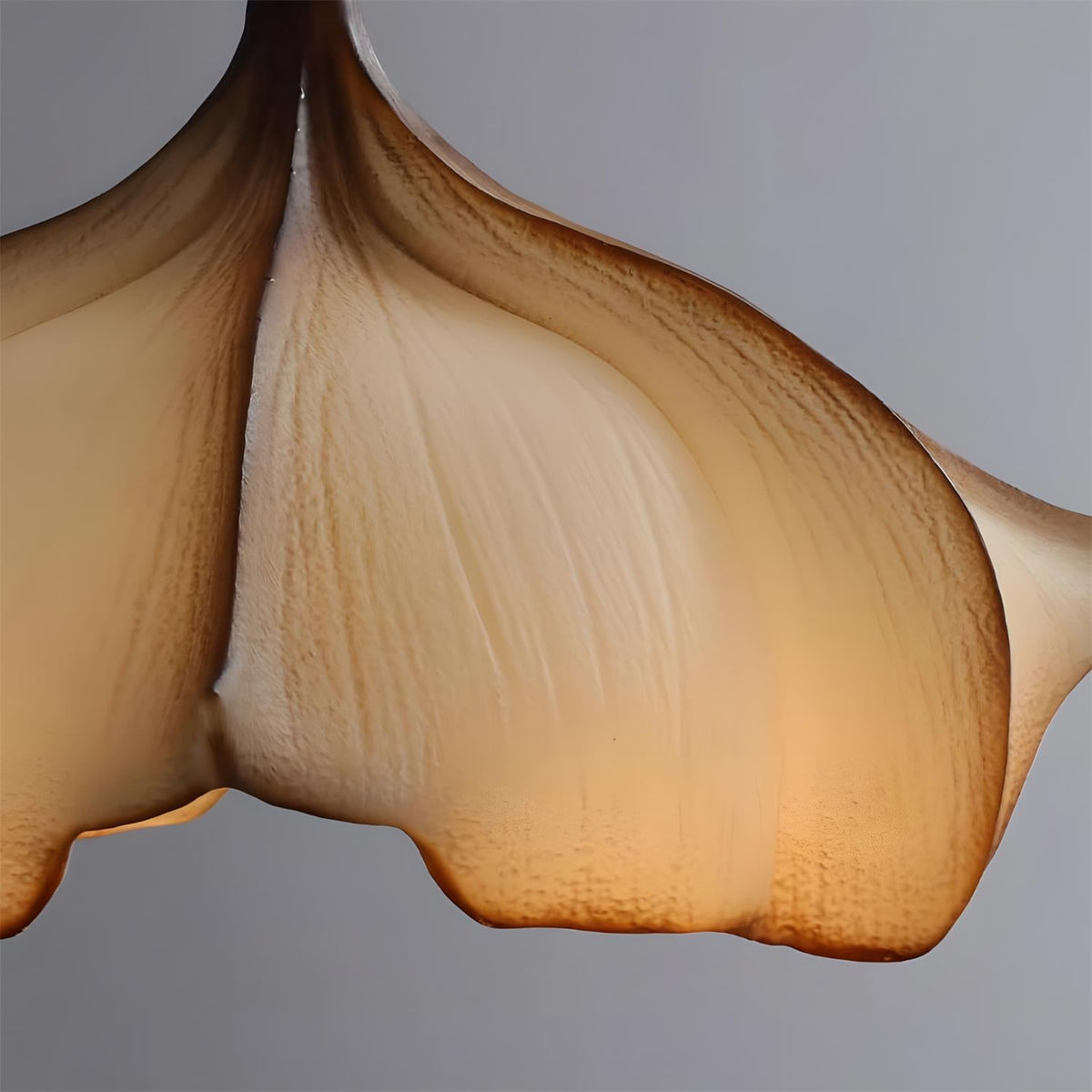 Calysa Wood Pendant Lamp — product view 17