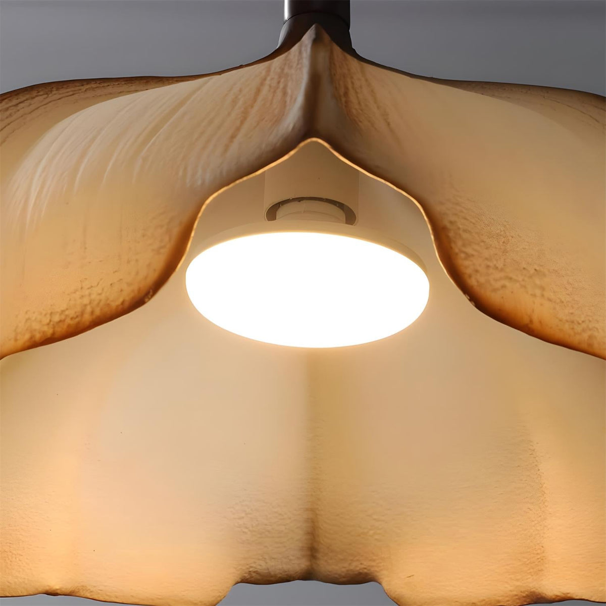 Calysa Wood Pendant Lamp — product view 18