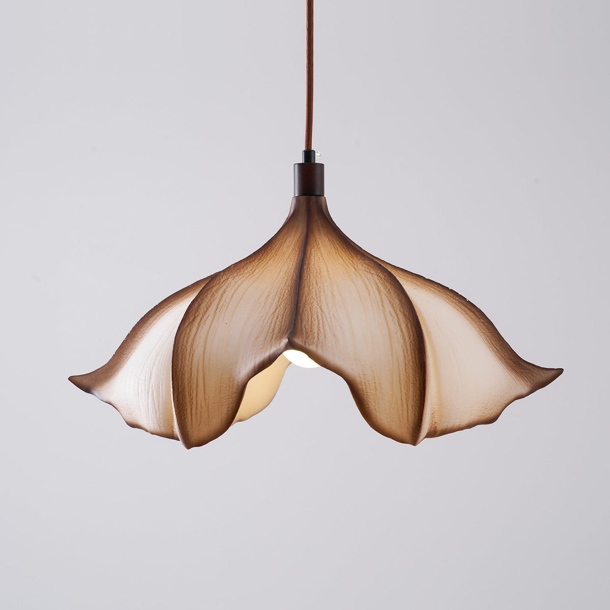 Calysa Wood Pendant Lamp — product view 20