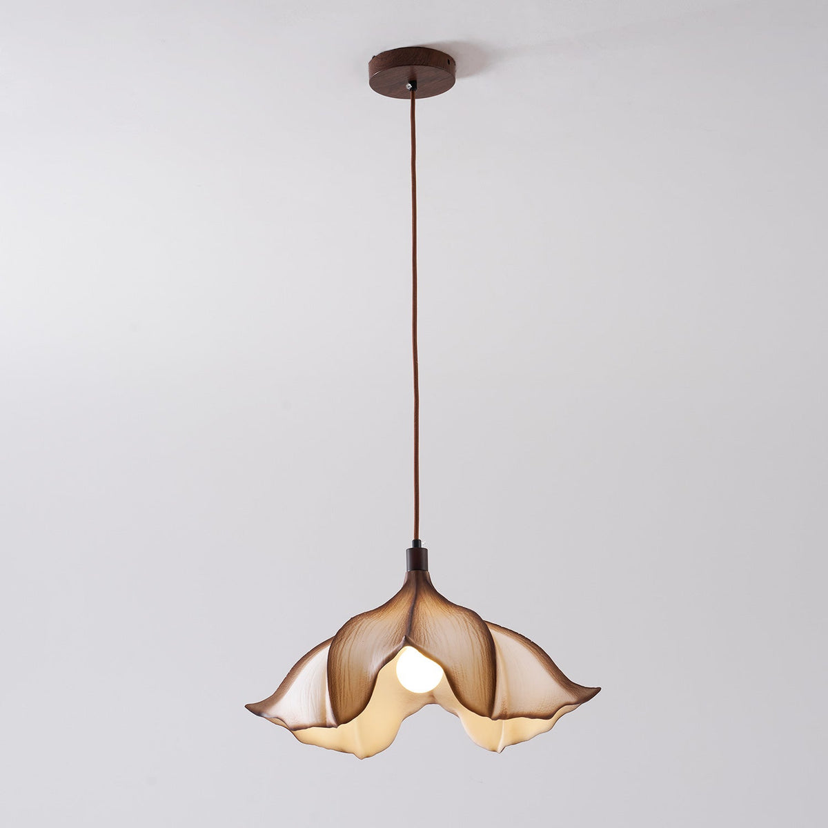 Calysa Wood Pendant Lamp — product view 22