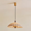Lunaro Metal Pendant Lamp — product view 14
