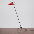 Vivid Curve Metal Floor Lamp — product view 8