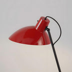 Vivid Curve Metal Floor Lamp — product view 14