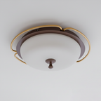 Crescent Orbit Glass Ceiling Lamp — product view 15