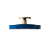 Gold & Blue