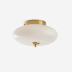 Serene Globe Glass Ceiling Lamp — product view 1