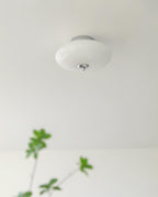 Serene Globe Glass Ceiling Lamp — product view 10