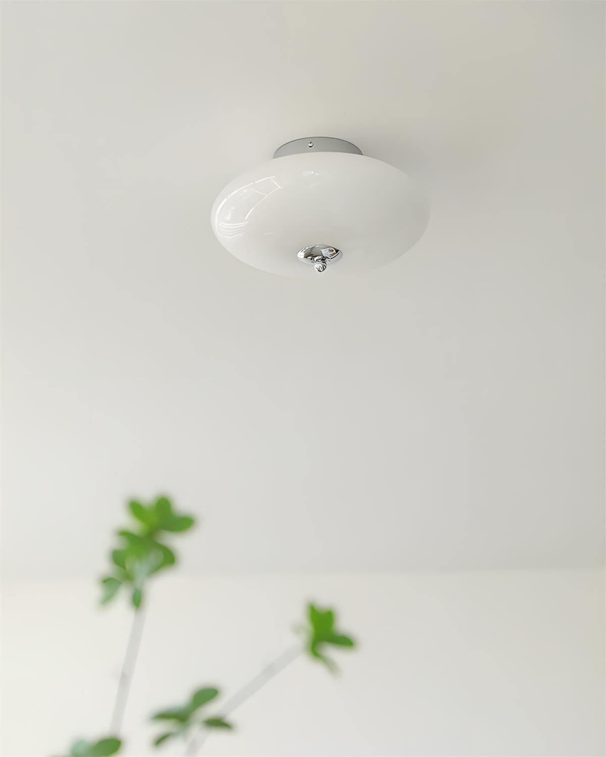 Serene Globe Glass Ceiling Lamp — product view 10