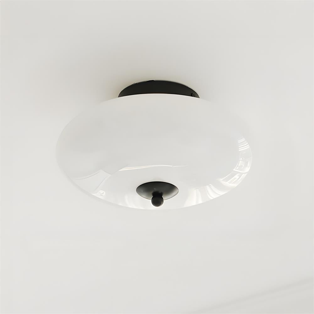 Serene Globe Glass Ceiling Lamp — product view 11
