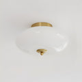Serene Globe Glass Ceiling Lamp — product view 13
