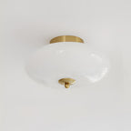 Serene Globe Glass Ceiling Lamp — product view 13