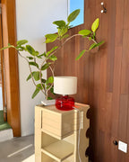 Popello Glass Table Lamp — product view 7