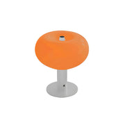 Orange & White