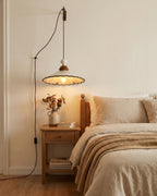 Celine Plug In Pendant Light — product view 2