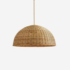 Ravena Pendant Light — product view 1