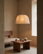 Elvoro Pendant Light — product view 11