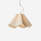 Liorenne Pendant Light — product view 1