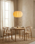 Elunor Pendant Light — product view 4