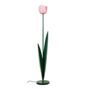 Green & Pink