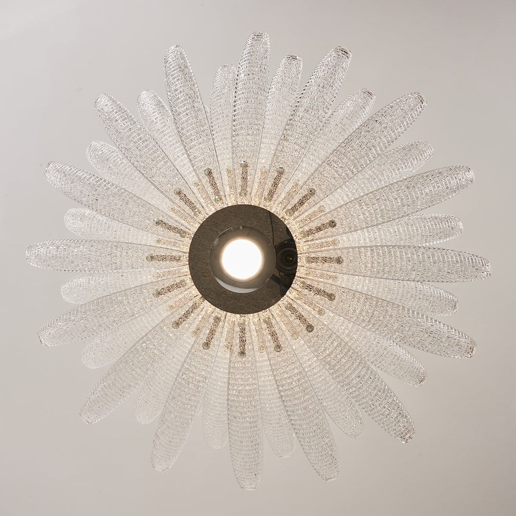 Coralume Chandelier — product view 26
