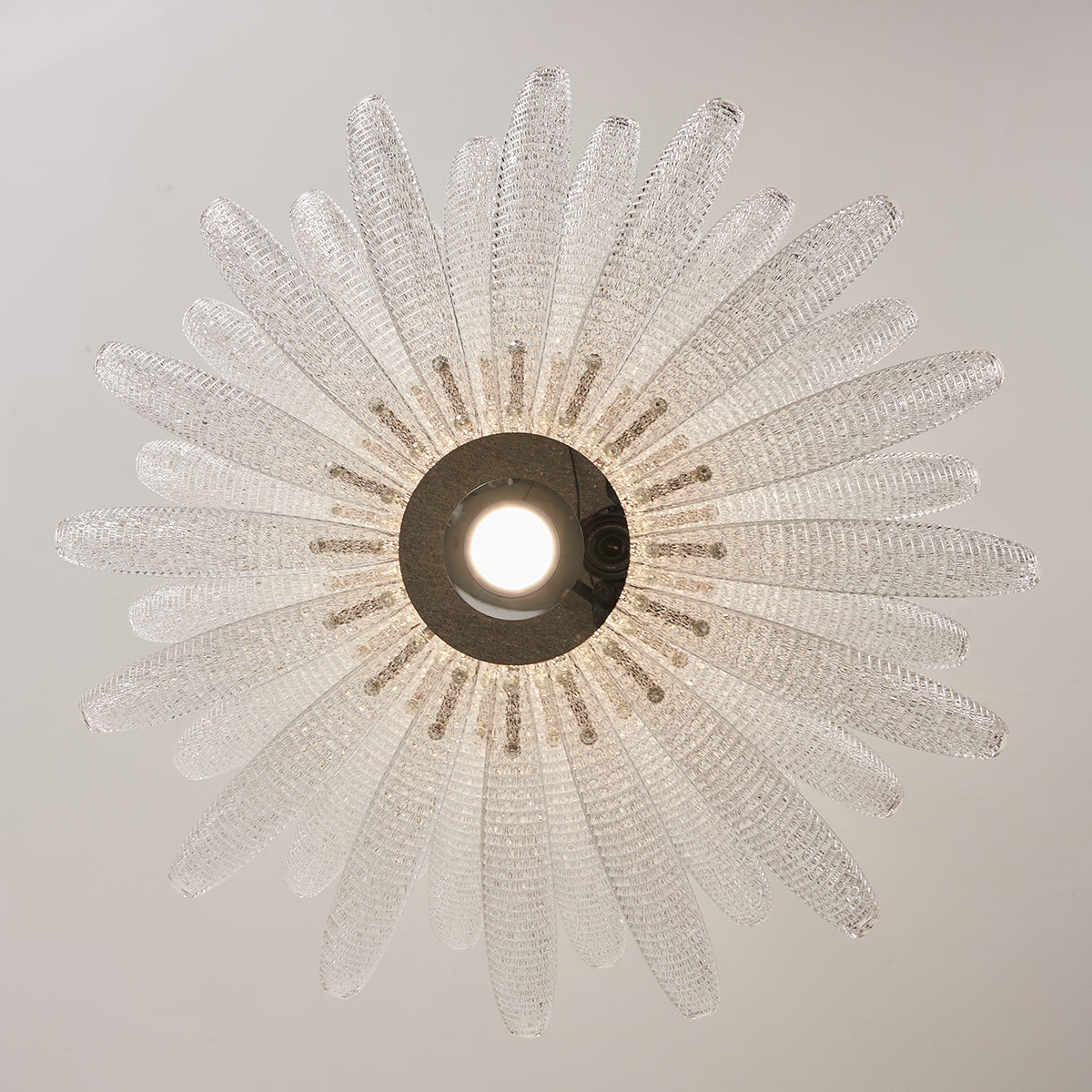Coralume Chandelier — product view 26