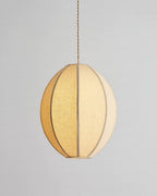 Elvara Pendant Light — product view 21