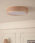 Bellgrove Flush Mount Ceiling Light — product view 4
