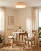Bellgrove Flush Mount Ceiling Light — product view 12