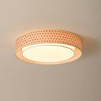 Bellgrove Flush Mount Ceiling Light — product view 16