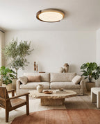 Merovin Flush Mount Ceiling Light — product view 8