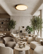 Merovin Flush Mount Ceiling Light — product view 12