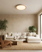 Eldren Flush Mount Ceiling Light — product view 3