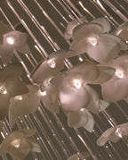Aviara Chandelier — product view 16