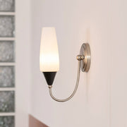 Brushed Nickel & Black & White