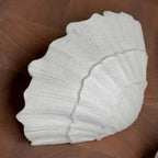 Aurevia Wall Sconce — product view 19