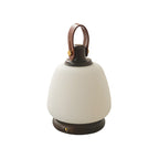 Lantelle Portable Table Lamp — product view 18