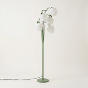 Green & White