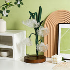 Bellivine Table Lamp — product view 4