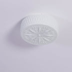Adler Ceiling Light — product view 14