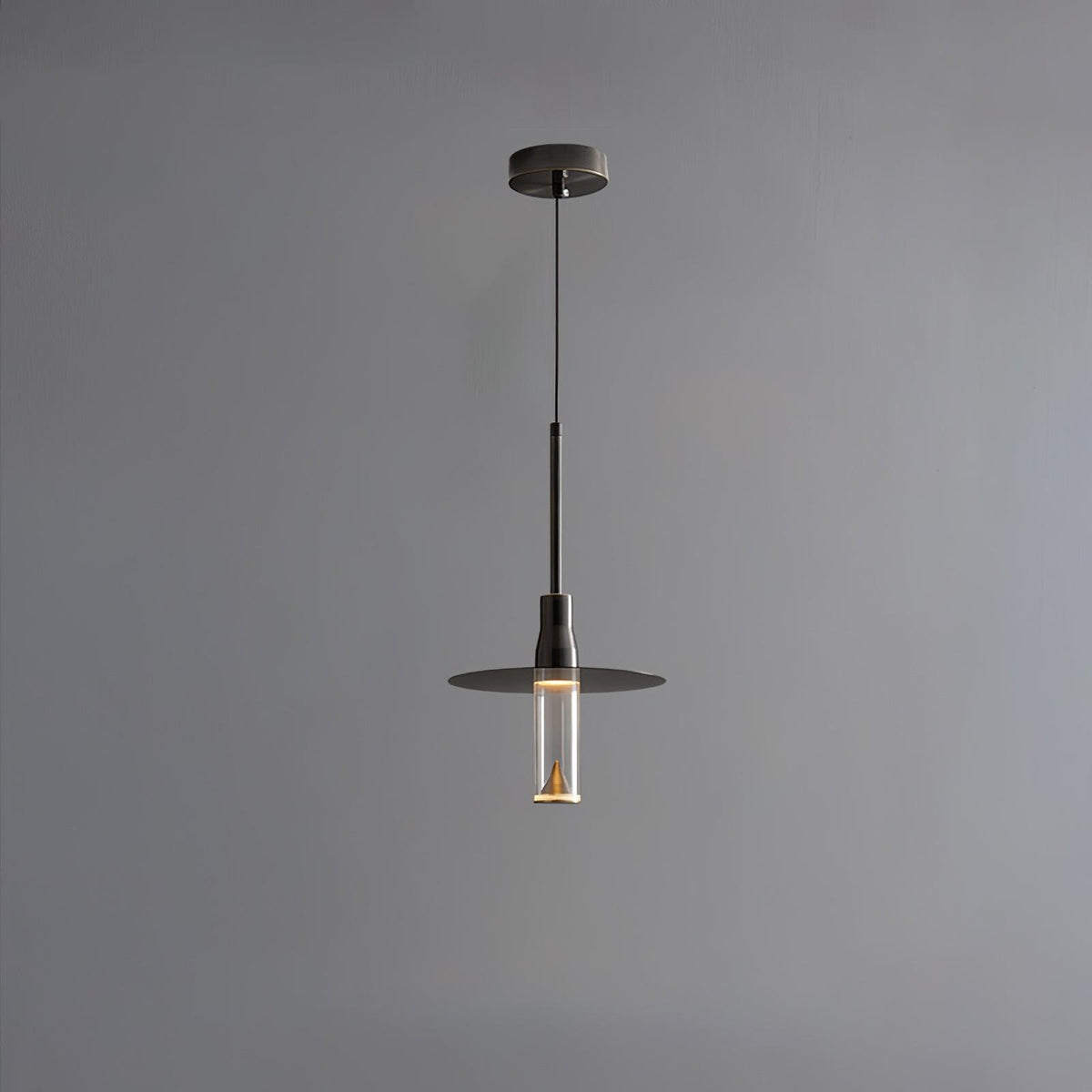 Acrylic Hat Plate Pendant Light — product view 21
