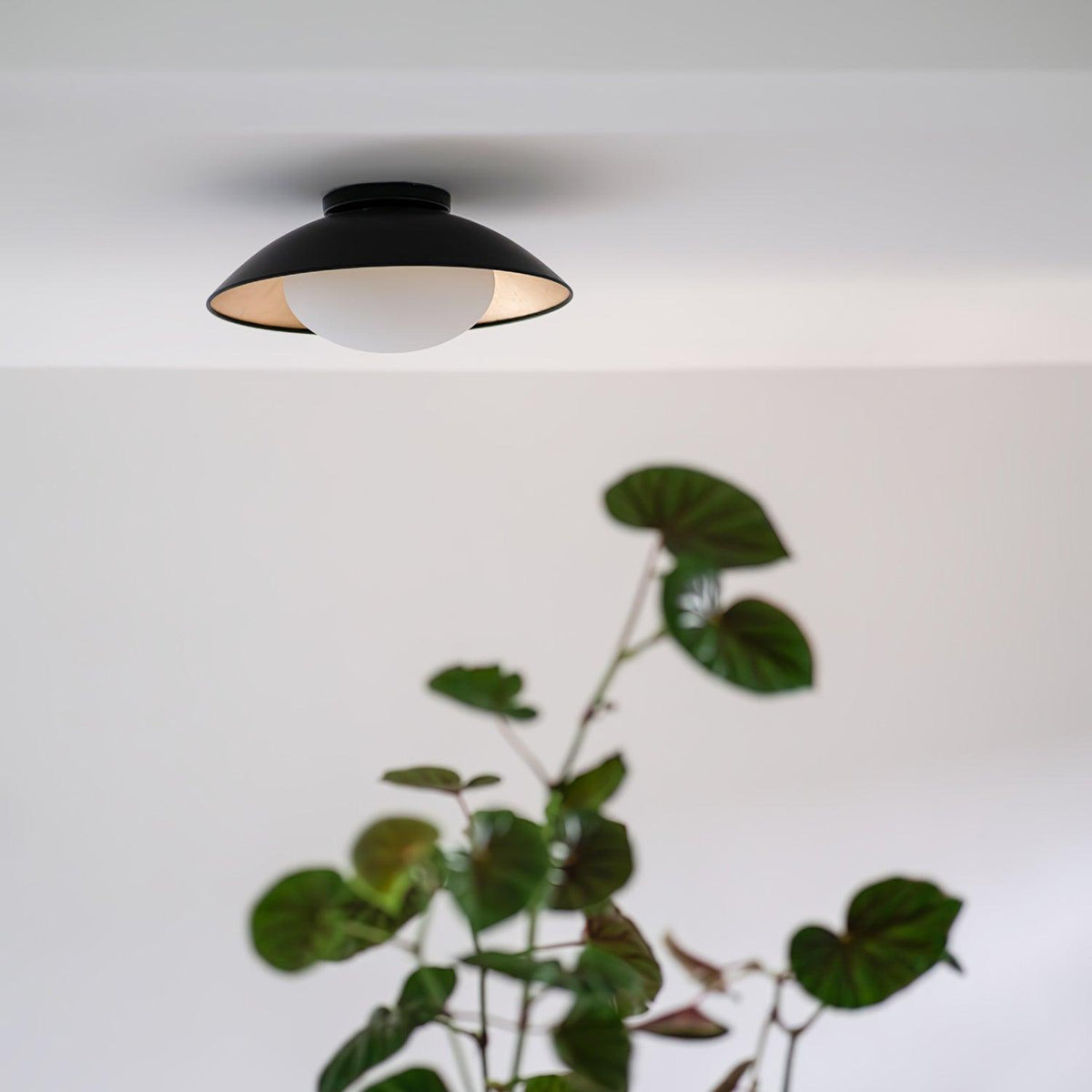 Adrienne Ceiling Lamp — product view 17