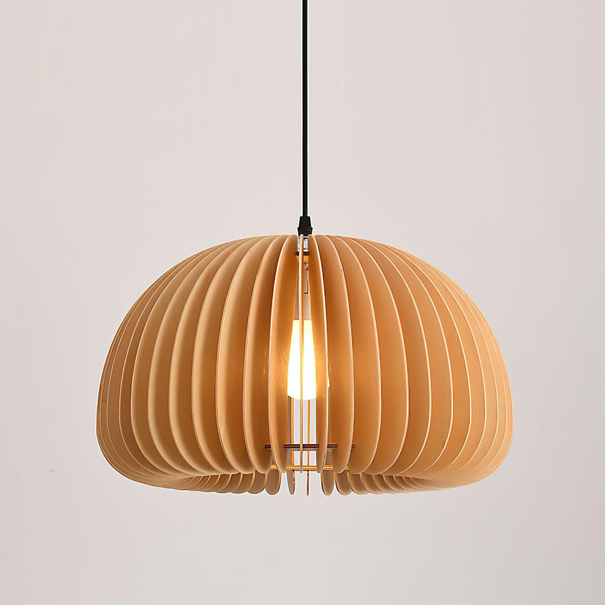 Aneko Pumpkin Pendant Lamp — product view 13