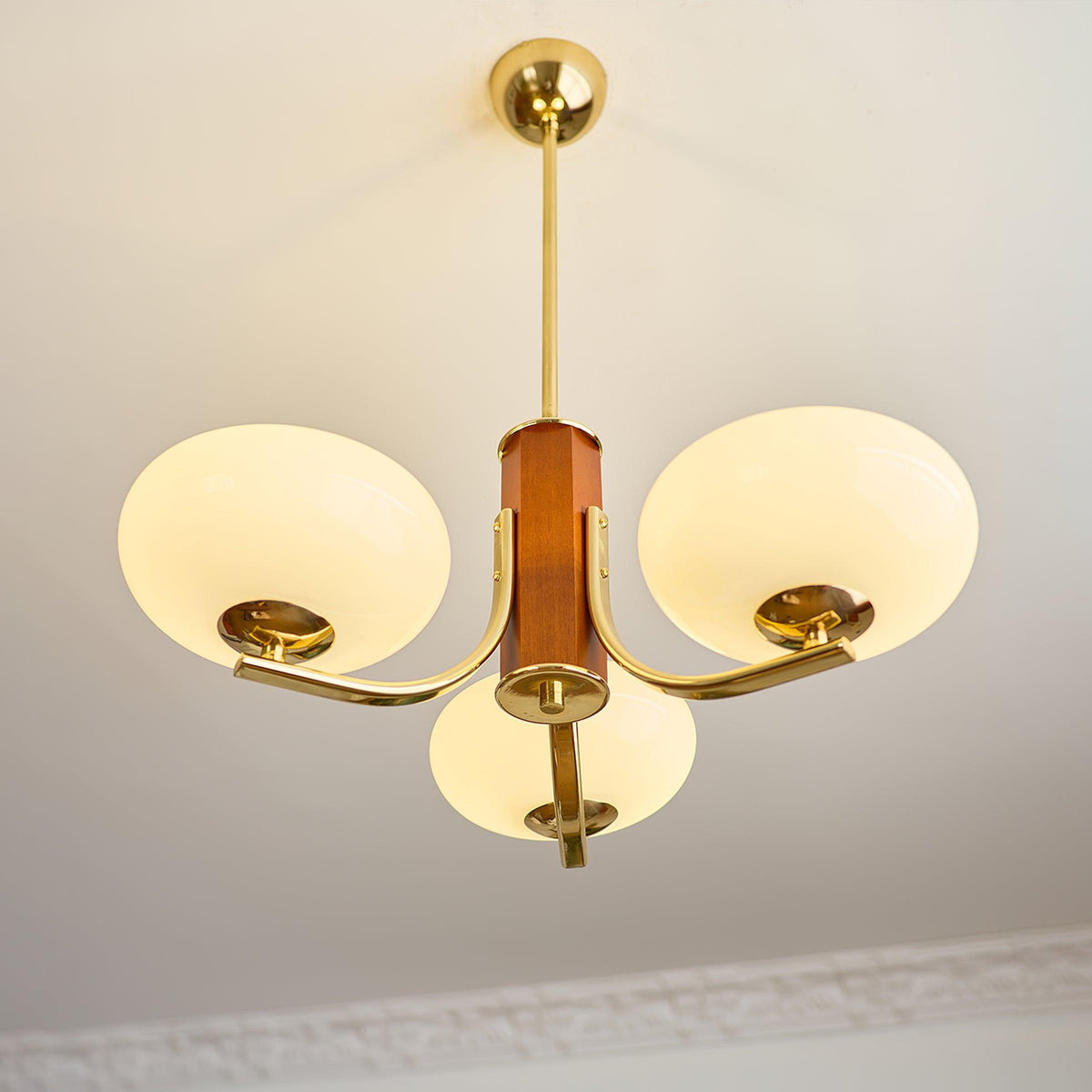 Larenta Rico Glass Chandelier — product view 16