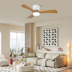 Aerodynamics 42"/52" Ceiling Fan Light – product view 5