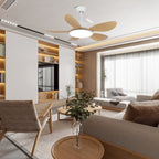 Brinley 42"/52" Ceiling Fan Light – product view 3